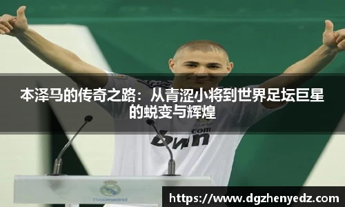 贝博BB艾弗森官网