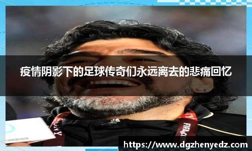 BB贝博艾弗森官方网站