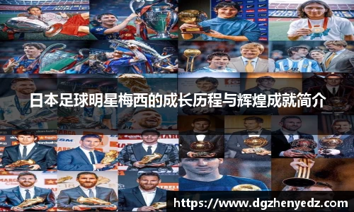 BB贝博艾弗森官网